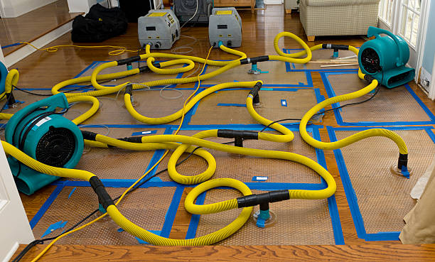 Professional Burst Pipe Water Damage technician working in Tiffin, OH